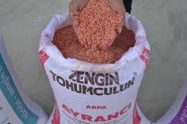 Zengin Tarm