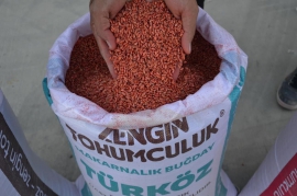 Zengin Tarm