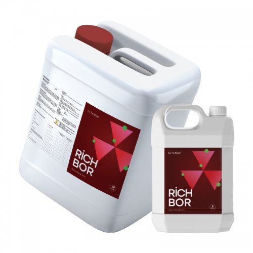 RCH BOR